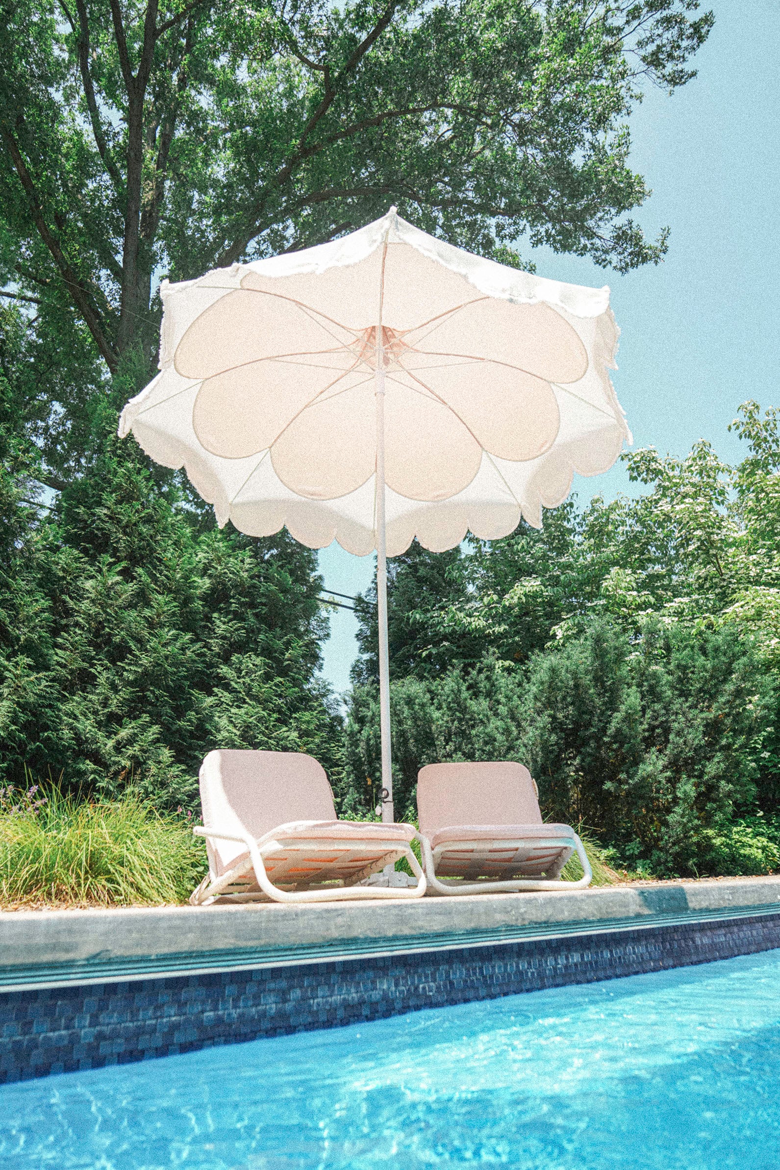 the SCALLOPED PETAL Market Umbrella in Blush