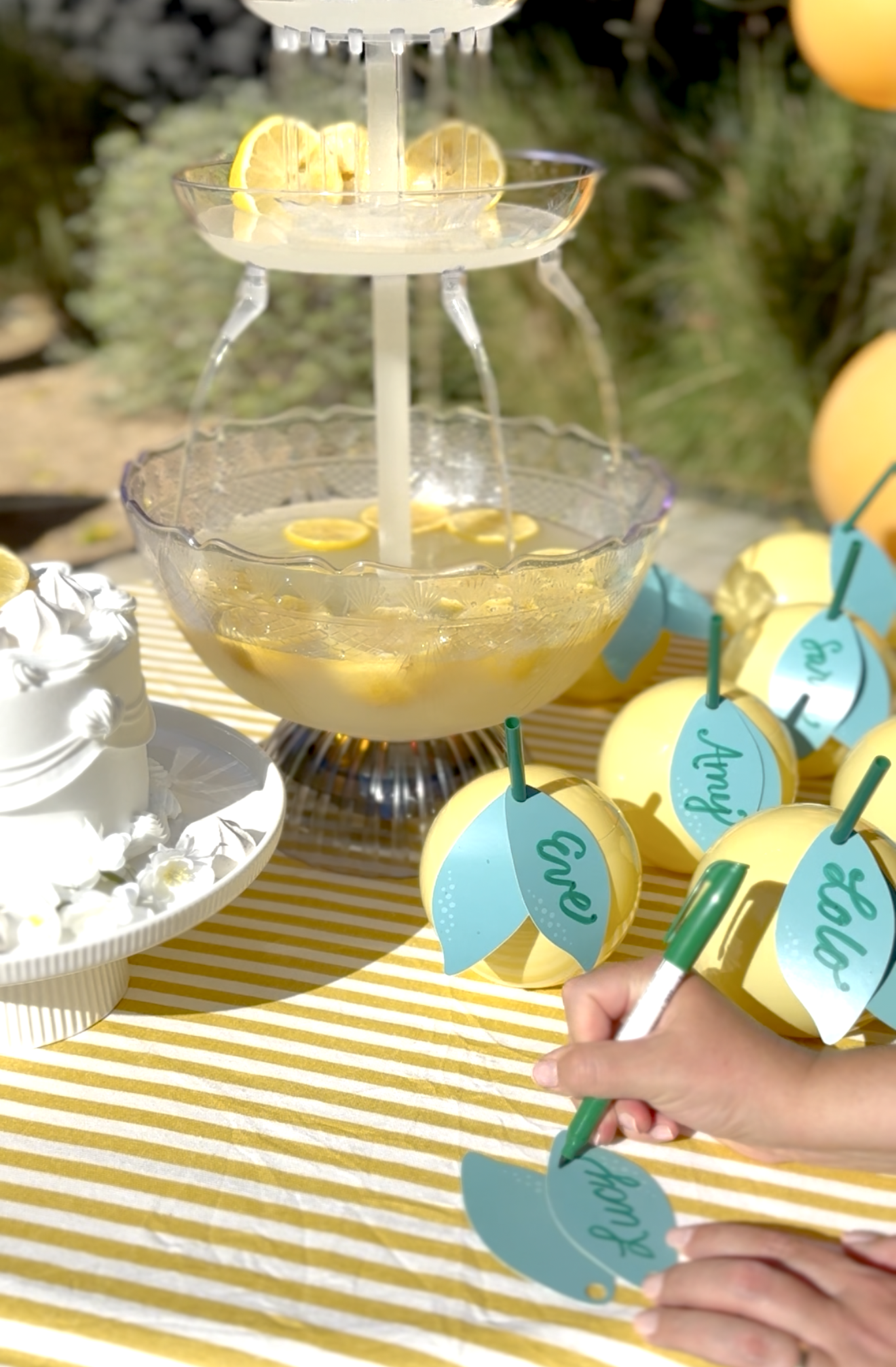 the LIMONE Tumbler Drink Set