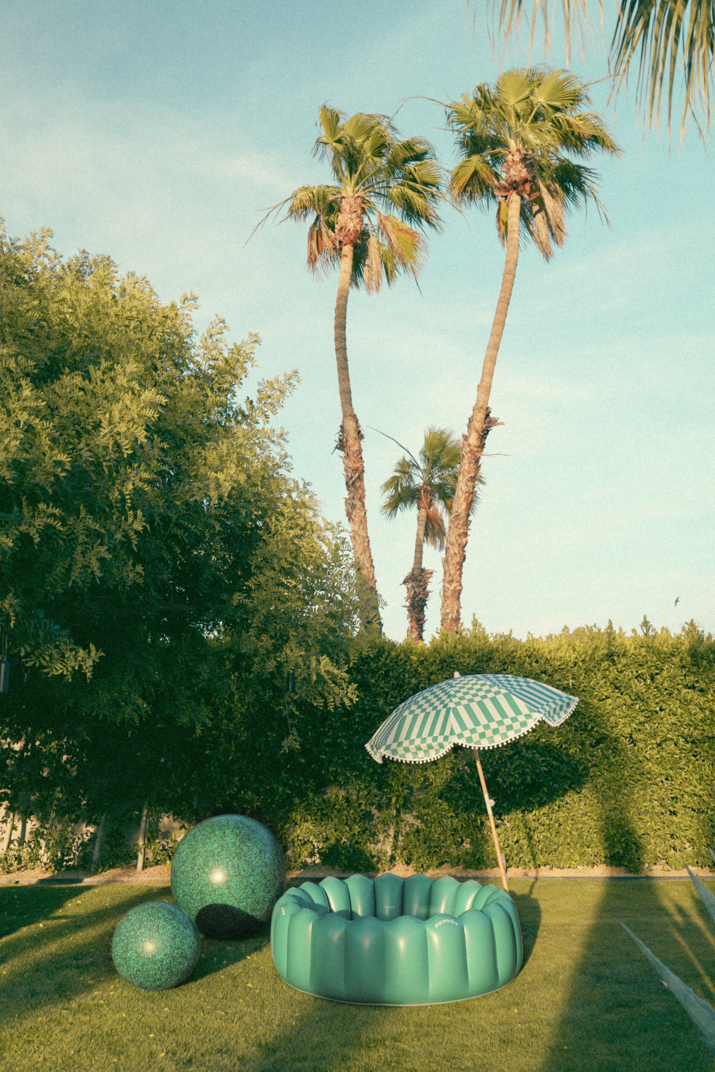 the TOPIARY 3 FOOT Beach Ball