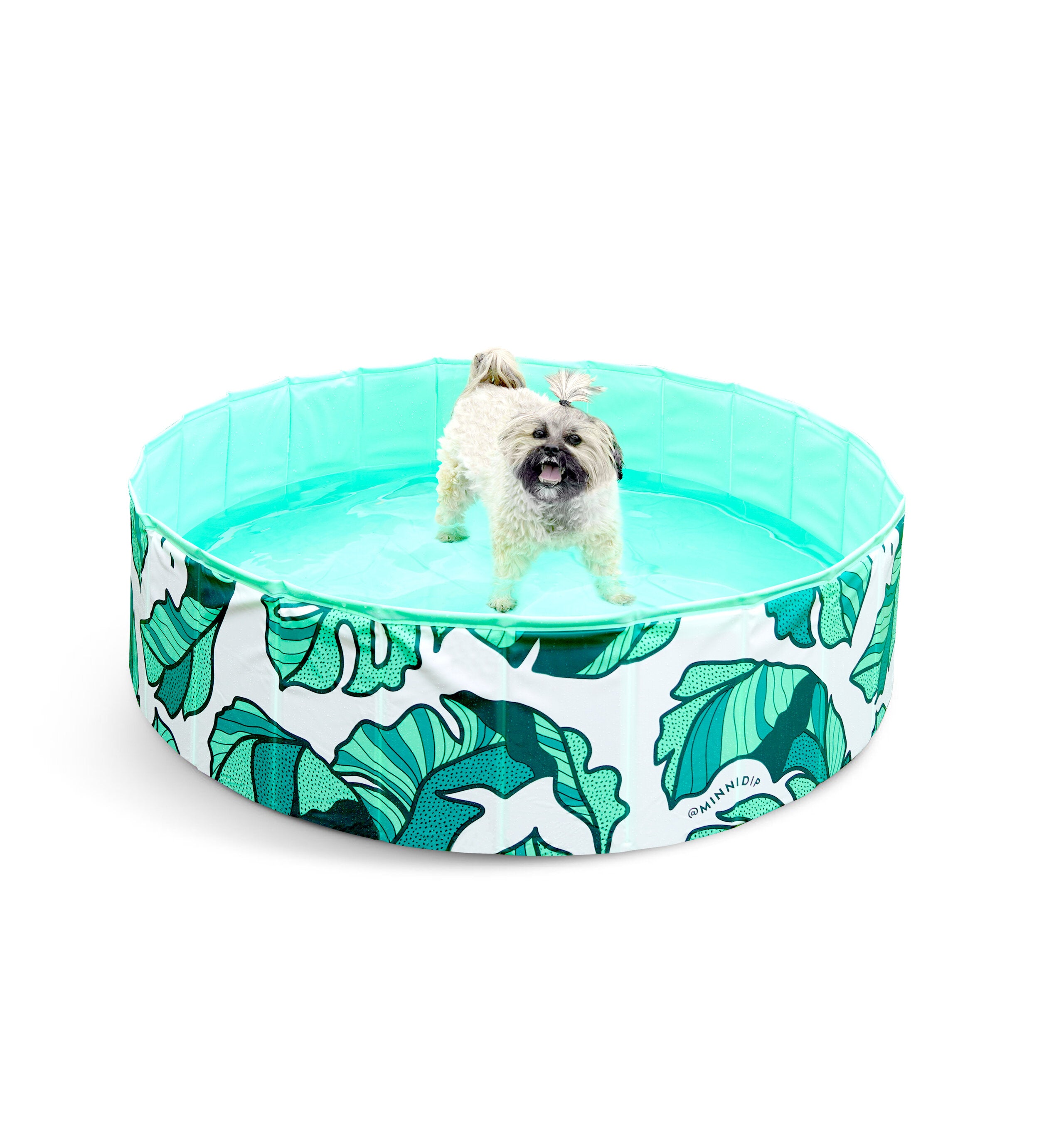 the THAT'S BANANA(LEAVE)S PUP DIP™ dog pool