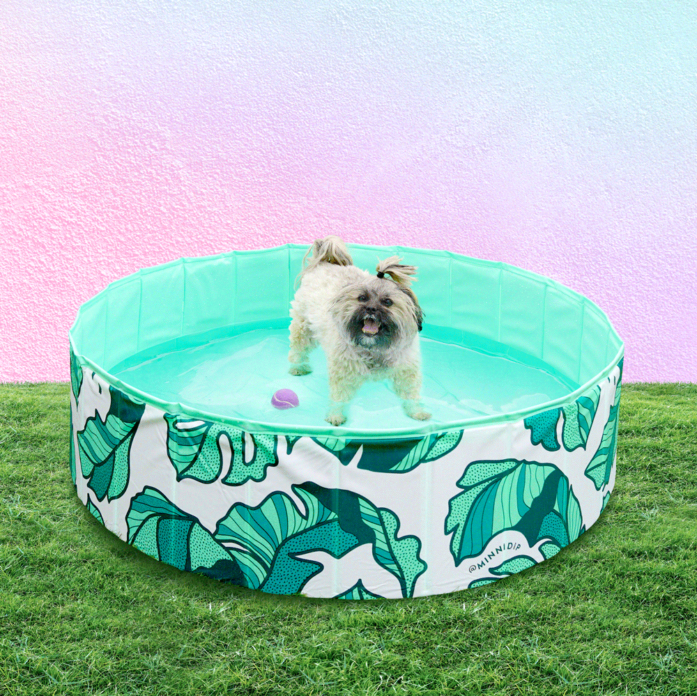 the THAT'S BANANA(LEAVE)S PUP DIP™ dog pool